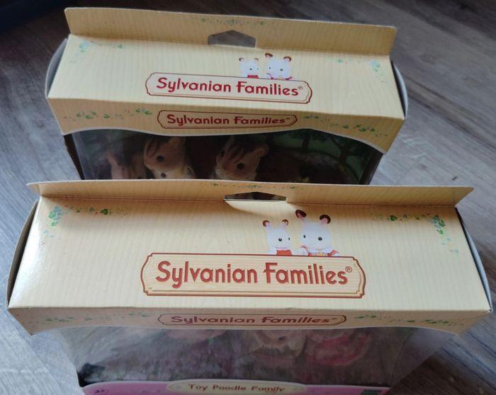 Familles sylvanian - photo numéro 18