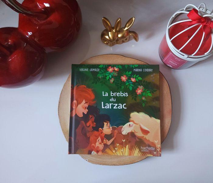 La brebis du Larzac 🎄 - photo numéro 1