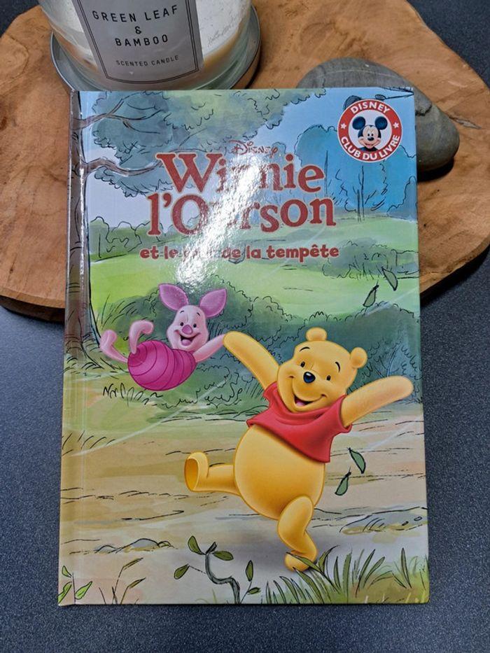 Livre Disney Winnie l'ourson collection Hachette - photo numéro 1