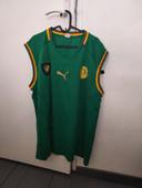 Maillot de football camerounaise