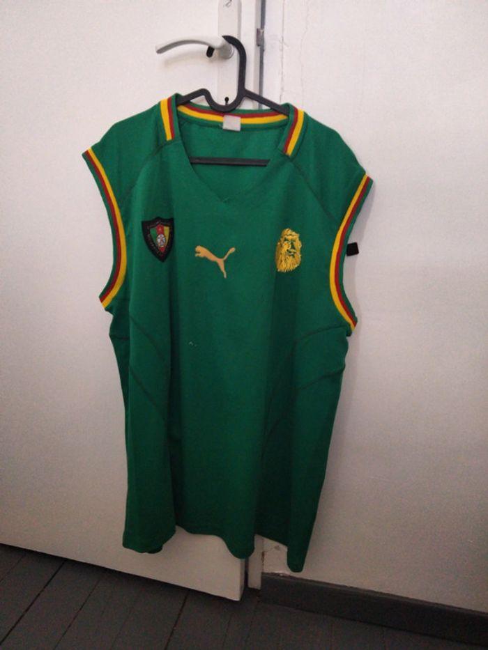 Maillot de football camerounaise - photo numéro 1