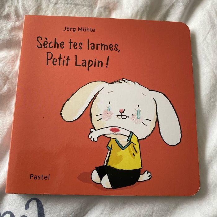 Sèche tes larmes petit Lapin - photo numéro 1