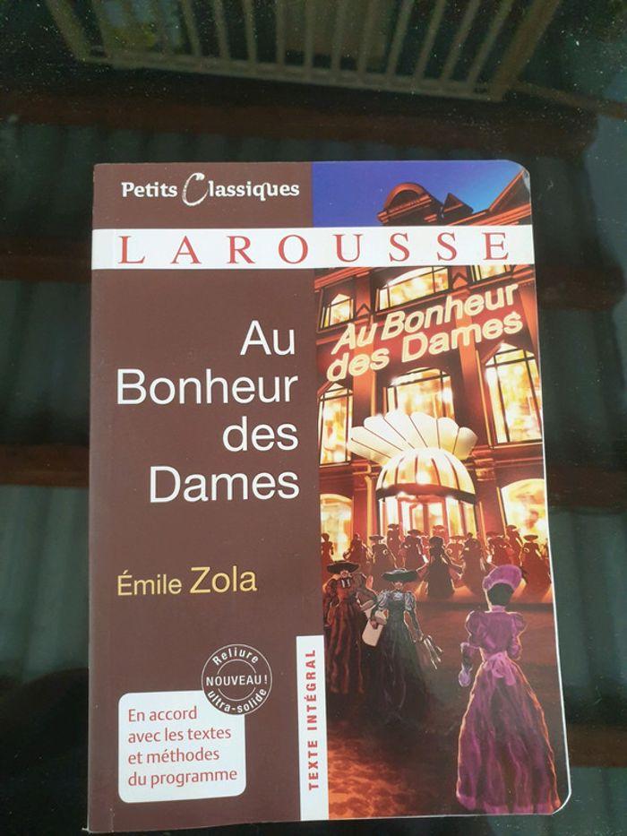 Livre au bonheur des dames - photo numéro 1