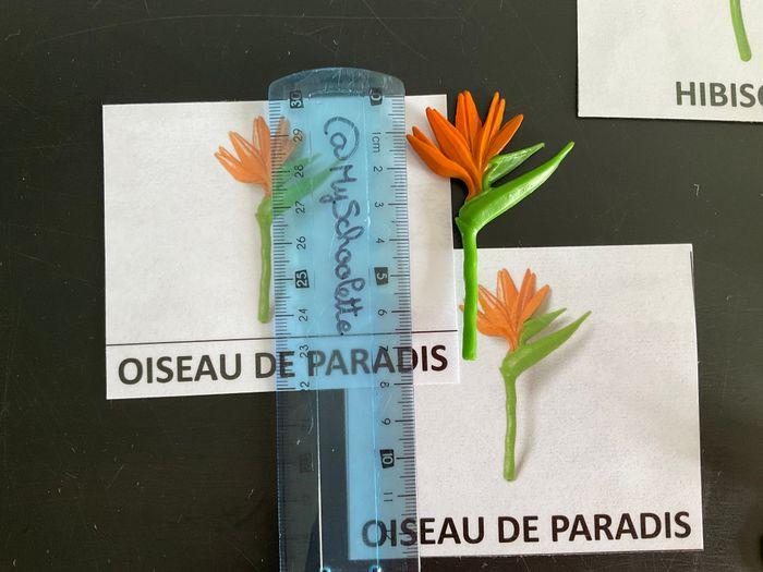 Fleurs et cartes Paires Montessori associées - photo numéro 6