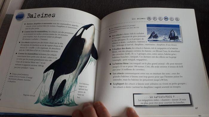 Livre 1000 infos sur les animaux - photo numéro 3