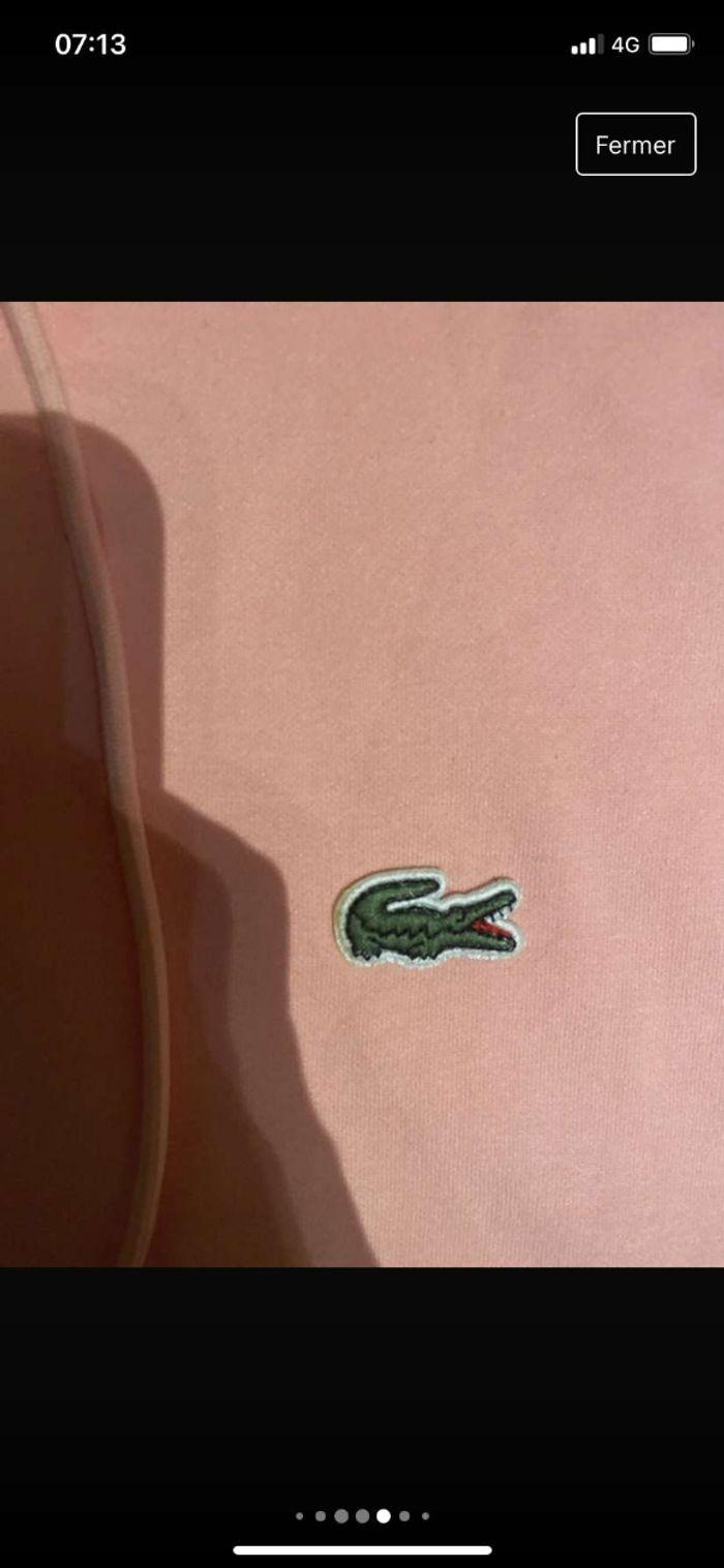 Zip Lacoste - photo numéro 8