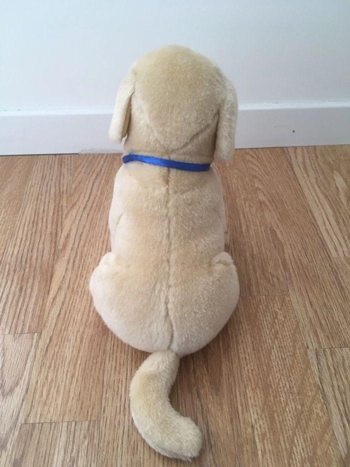 Chien en peluche - photo numéro 4