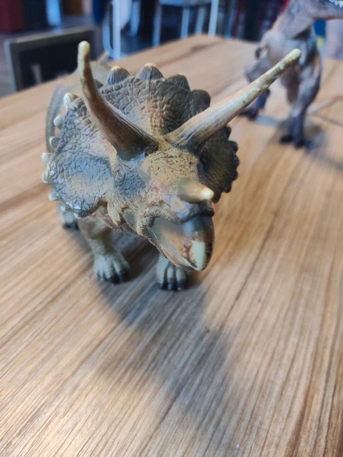 Triceratops collecta - photo numéro 3