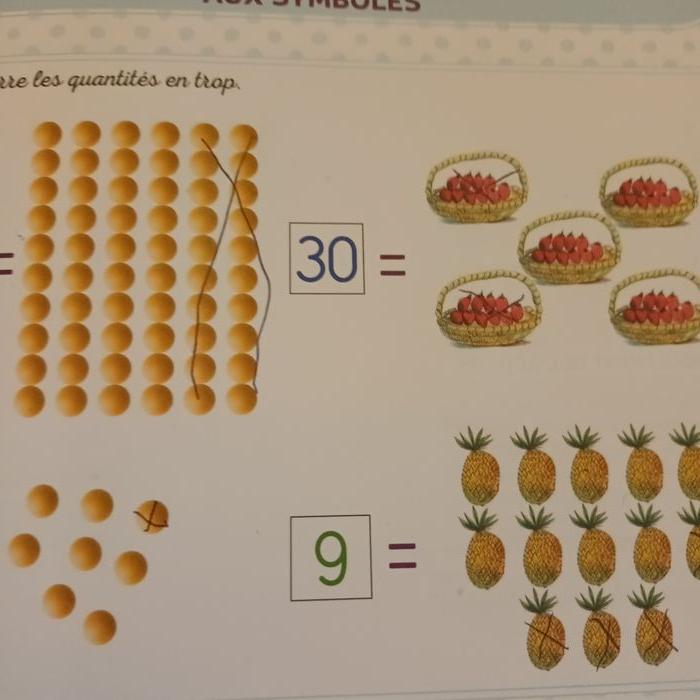 Livre mes premiers ateliers Montessori Mathématiques - photo numéro 4