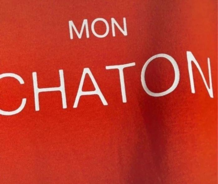 Sweat mon chaton - photo numéro 2