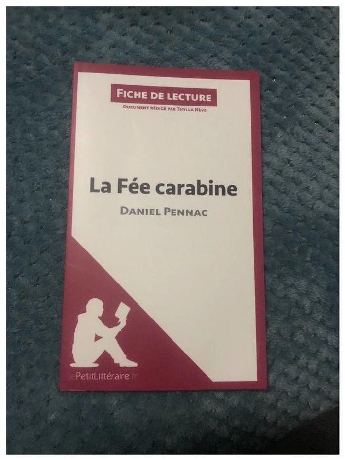 La Fée carabine de Daniel Pennac