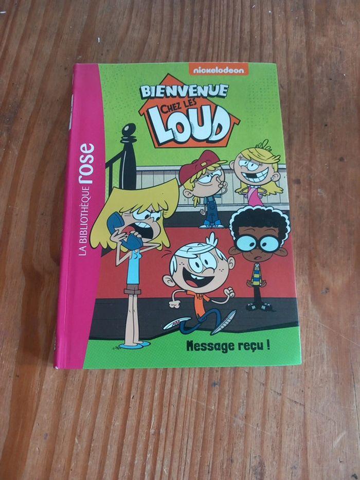 Bienvenue chez les loud 1 à 4 - photo numéro 3