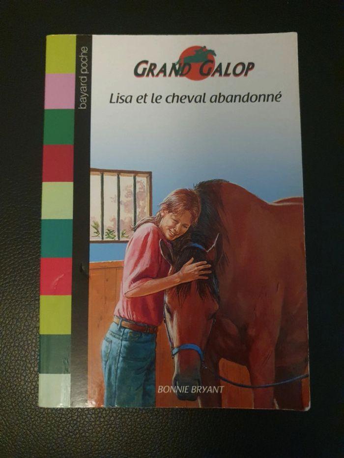 Lot 10 livres chevaux grand galop - photo numéro 8