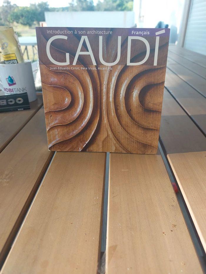 Livre  gaudi - photo numéro 1