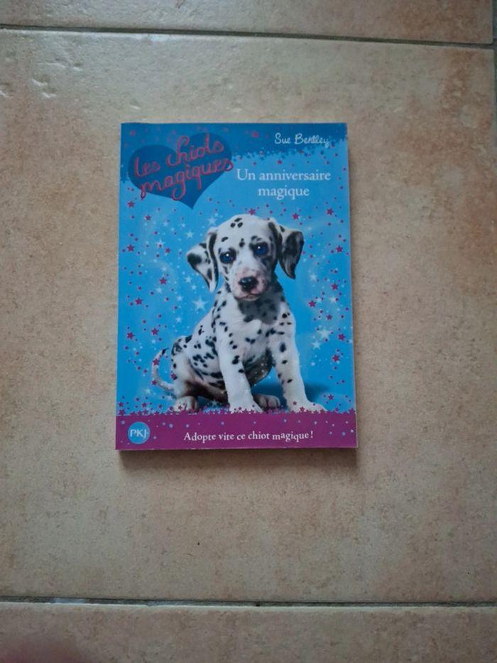 Le livre les chiots magiques un anniversaire magique - photo numéro 1