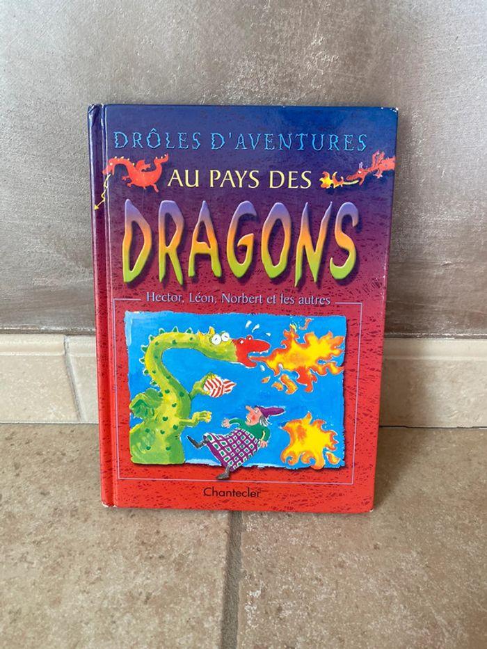 Drôles d’aventures au pays des dragons - photo numéro 1