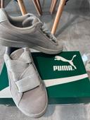 Basket puma