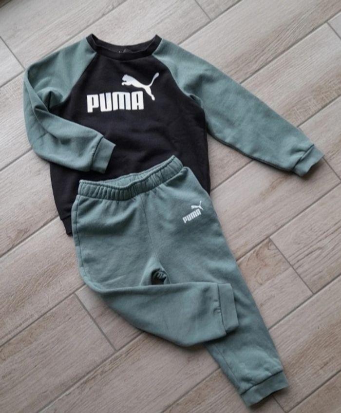 Jogging puma