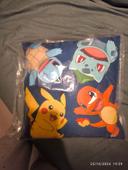 Coussin pokemon