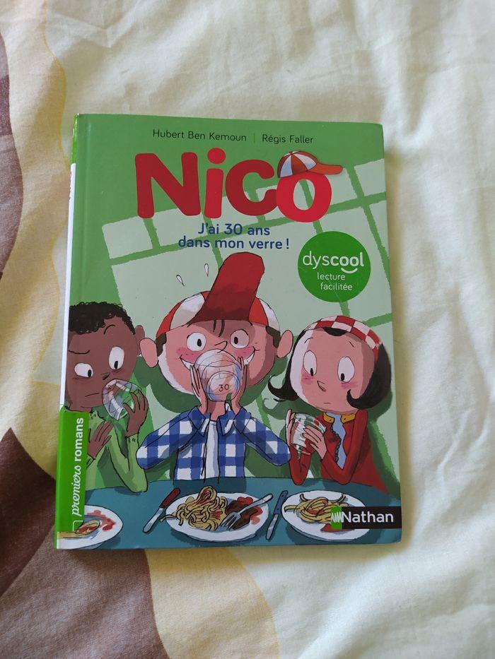 Livre Nico j ai 30 ans dans mon verre