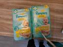 Pampers taille 3