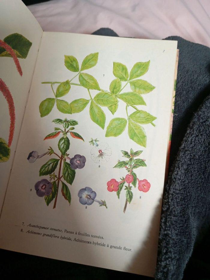 Livre plante d intérieur - photo numéro 3