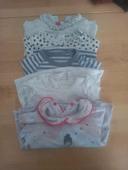 Lot 5 t-shirt manches longue 24 mois