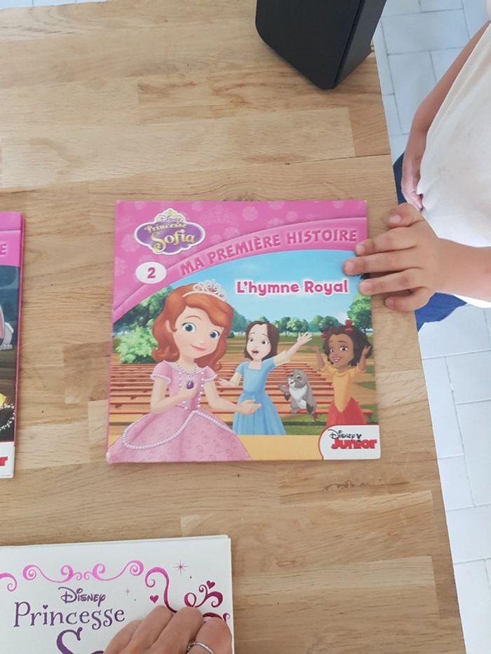 Lot de 3 livres Princesse Sofia - photo numéro 3