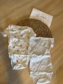 Lot bodies gris beige