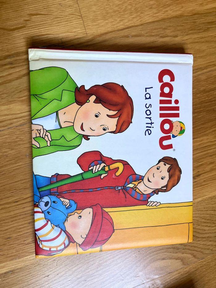 Livre « caillou » - photo numéro 1