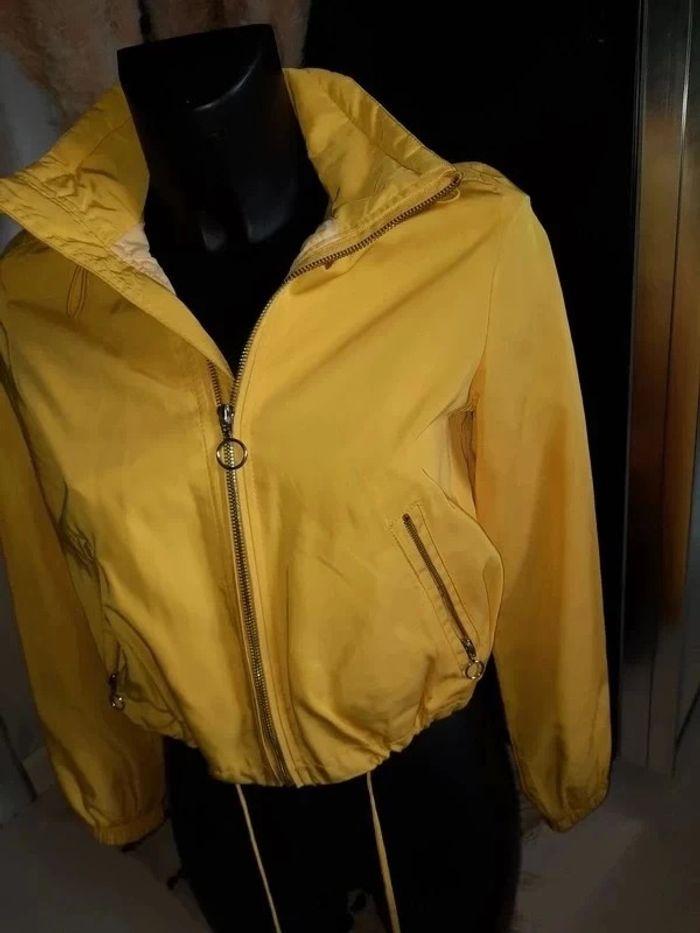 Veste jaune - photo numéro 2