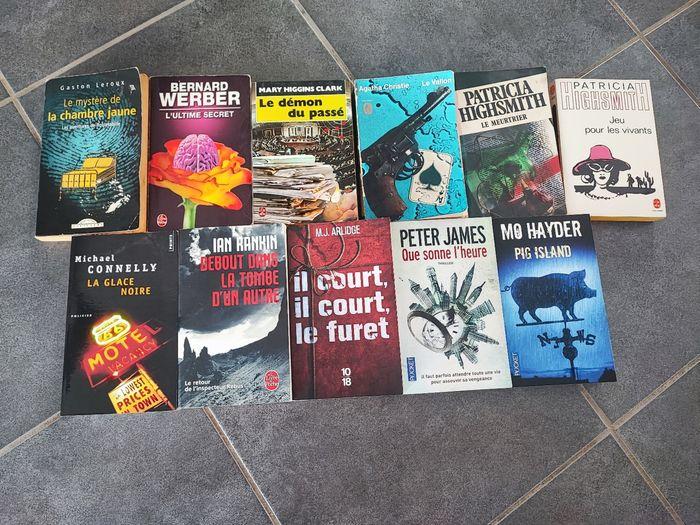 Livres policiers et thrillers 1e les 2 - photo numéro 1