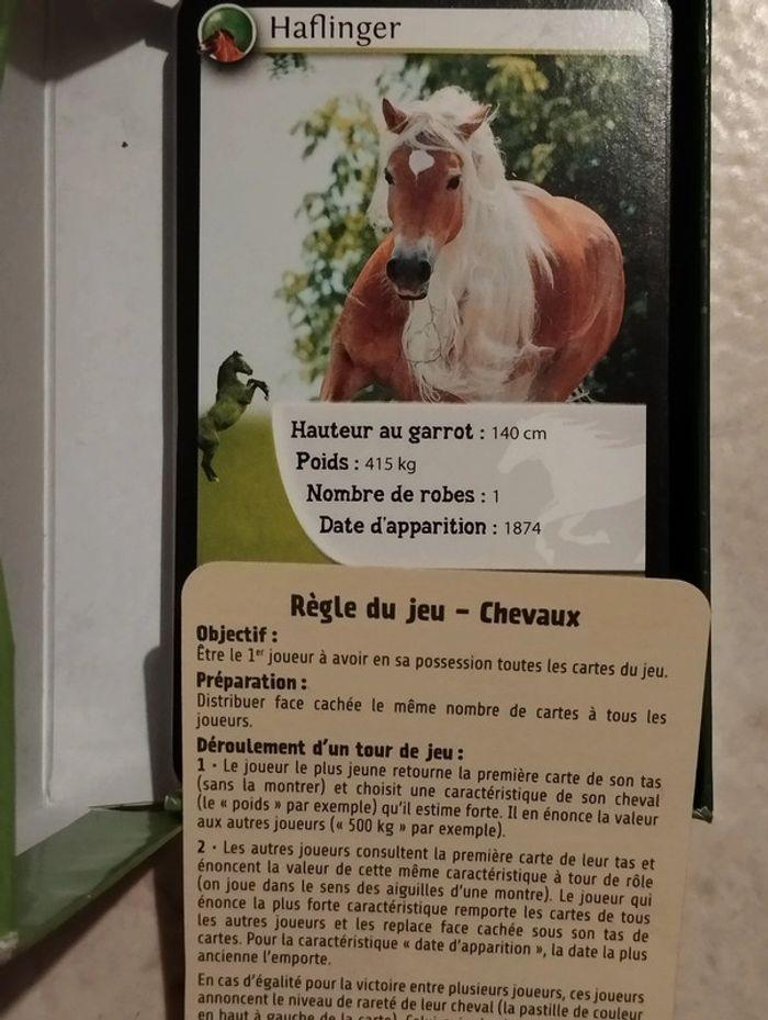 Défi nature Chevaux Jeu de cartes Bioviva - photo numéro 3