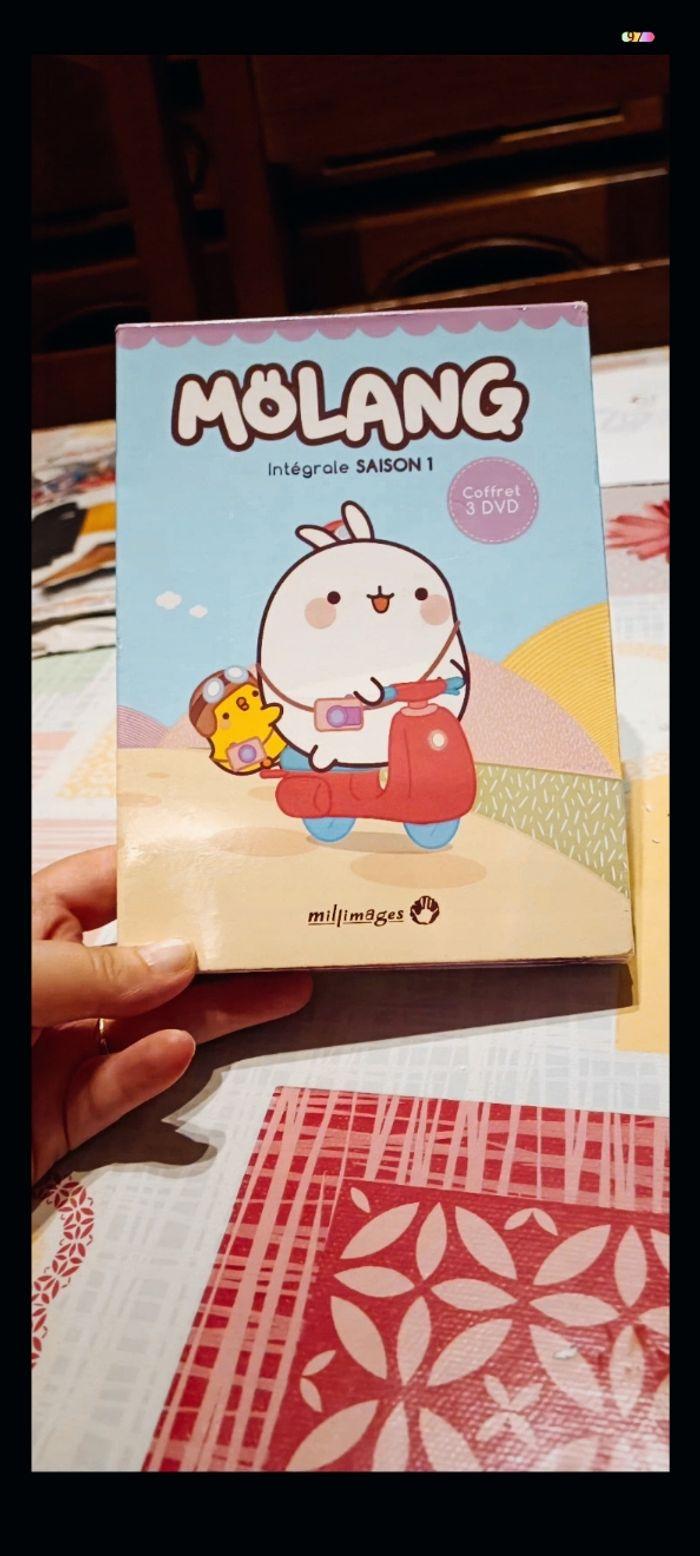 DVD coffret molang - photo numéro 1