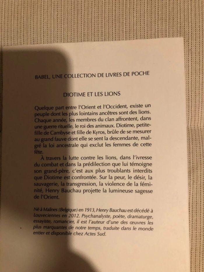 Livre diotime et les lions - photo numéro 3