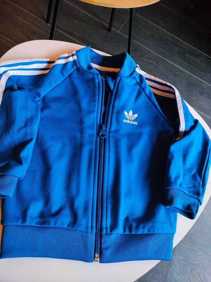 Veste Adidas bleu vif 18 mois - photo numéro 1