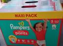 Maxi pack Pampers pants