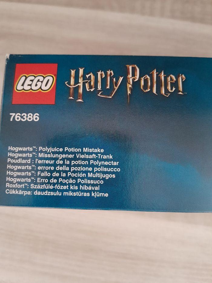 LEGO Harry Potter 76386 - photo numéro 5