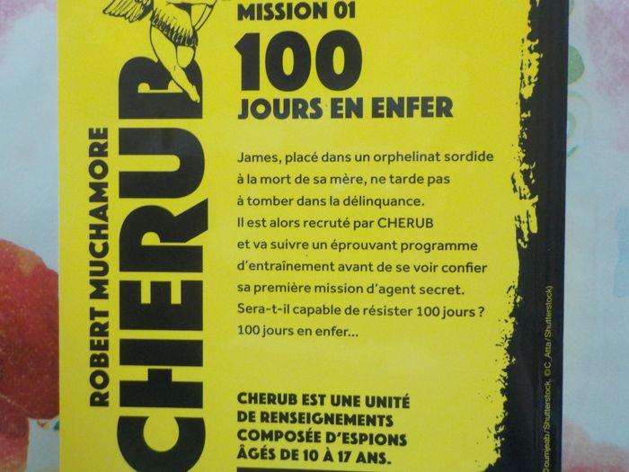 MISSION 01 100 JOURS EN ENFER CHERUB de Robert MUCHAMORE - photo numéro 2