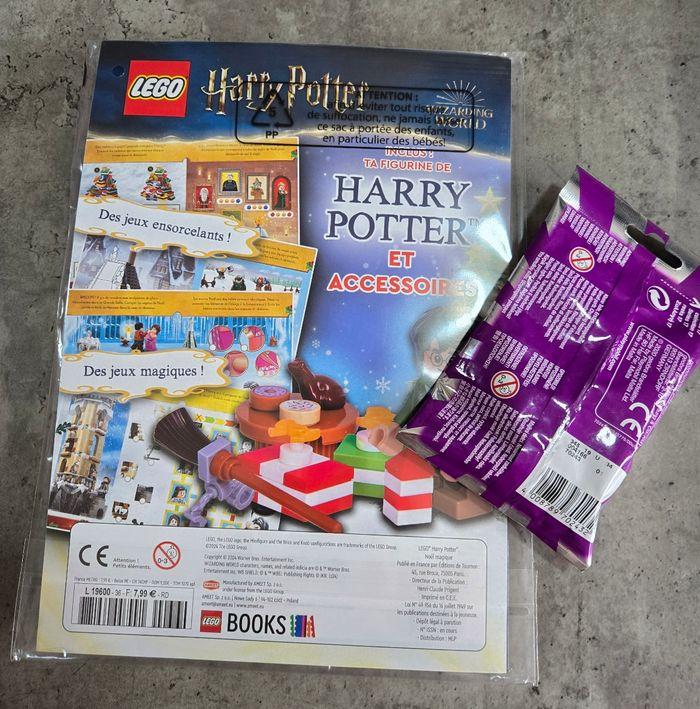 Lot lego harry potter + playmobil mystère - photo numéro 2