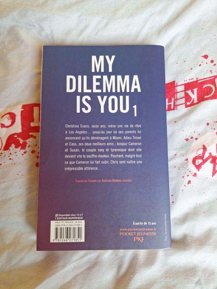 My dilemma is you 1 - Cristina Chiperi - photo numéro 2