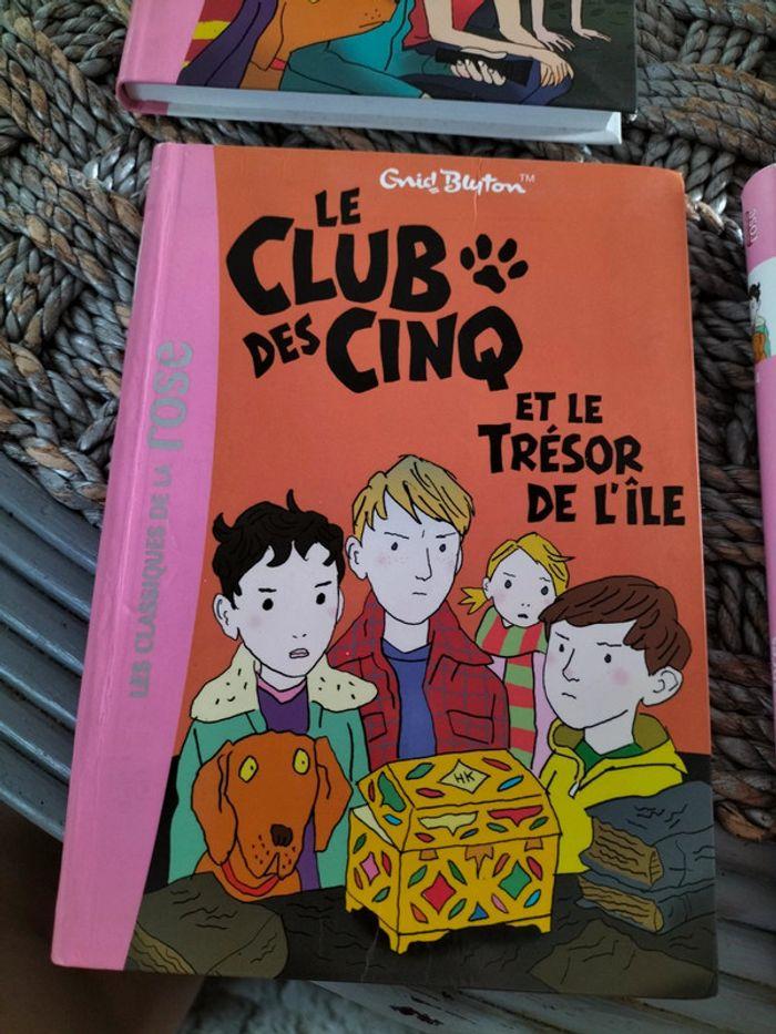 Lot de livre Club des cinq bibliothèque rose - photo numéro 3