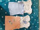 Lot T Shirt manches courtes