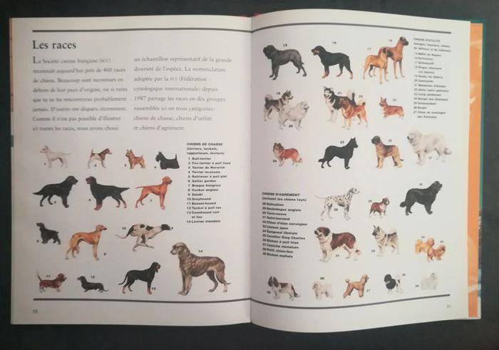 Livre Tout un monde Les chiens - photo numéro 3