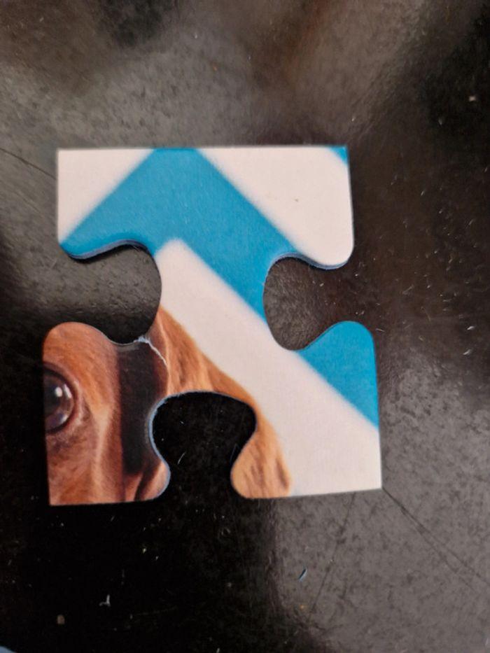 Puzzle chien - photo numéro 4