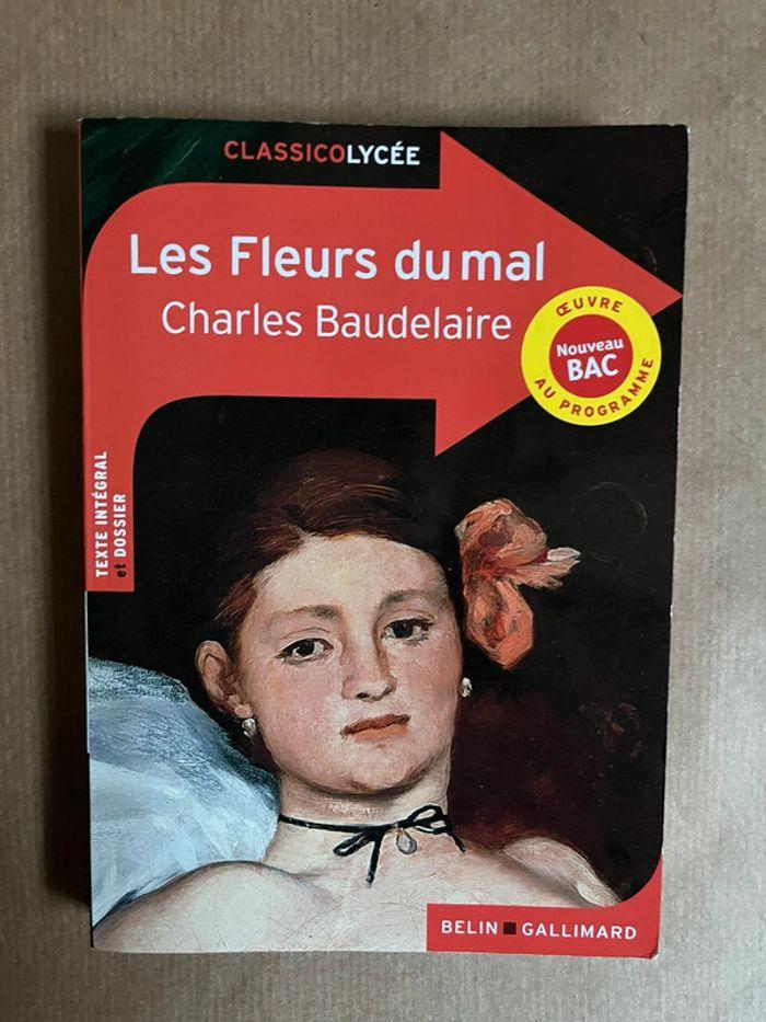 Les Fleurs de mal - photo numéro 1