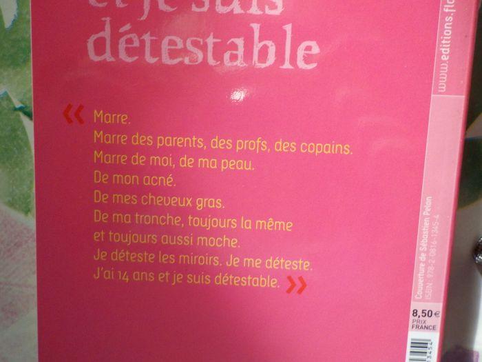 J'AI 14 ANS ET JE SUIS DETESTABLE de GUDULE Ed. Flammarion - photo numéro 2