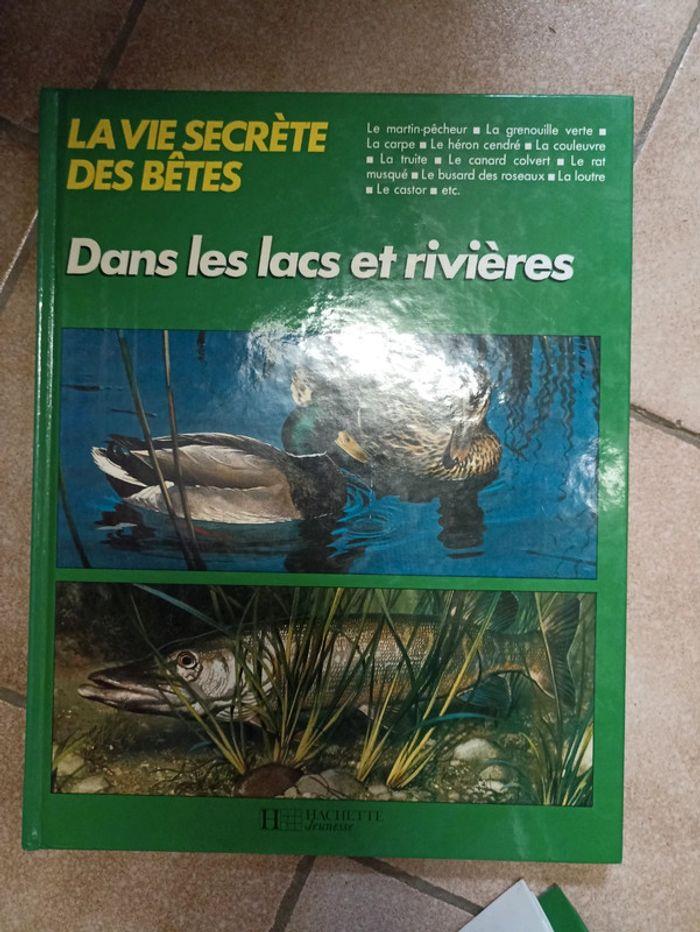 Livre sur les animaux - photo numéro 6