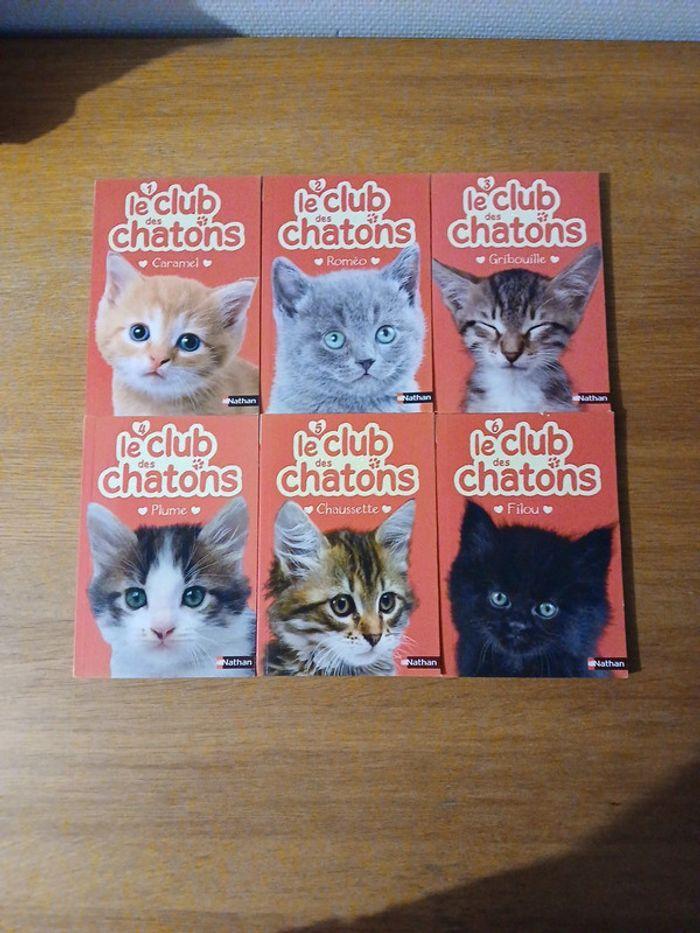 Lot le club des chatons - photo numéro 1