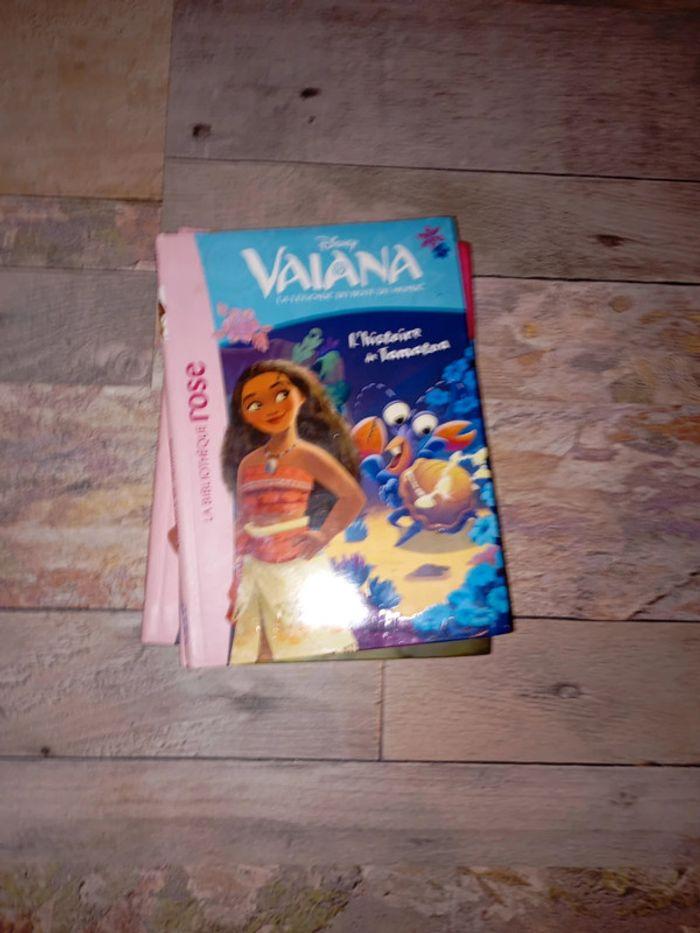 Lot de livres bibliothèque rose vaiana - photo numéro 4